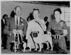 American Kennel Gazette Dec 1963; Ch. Sabbaday Echo Best of Breed
